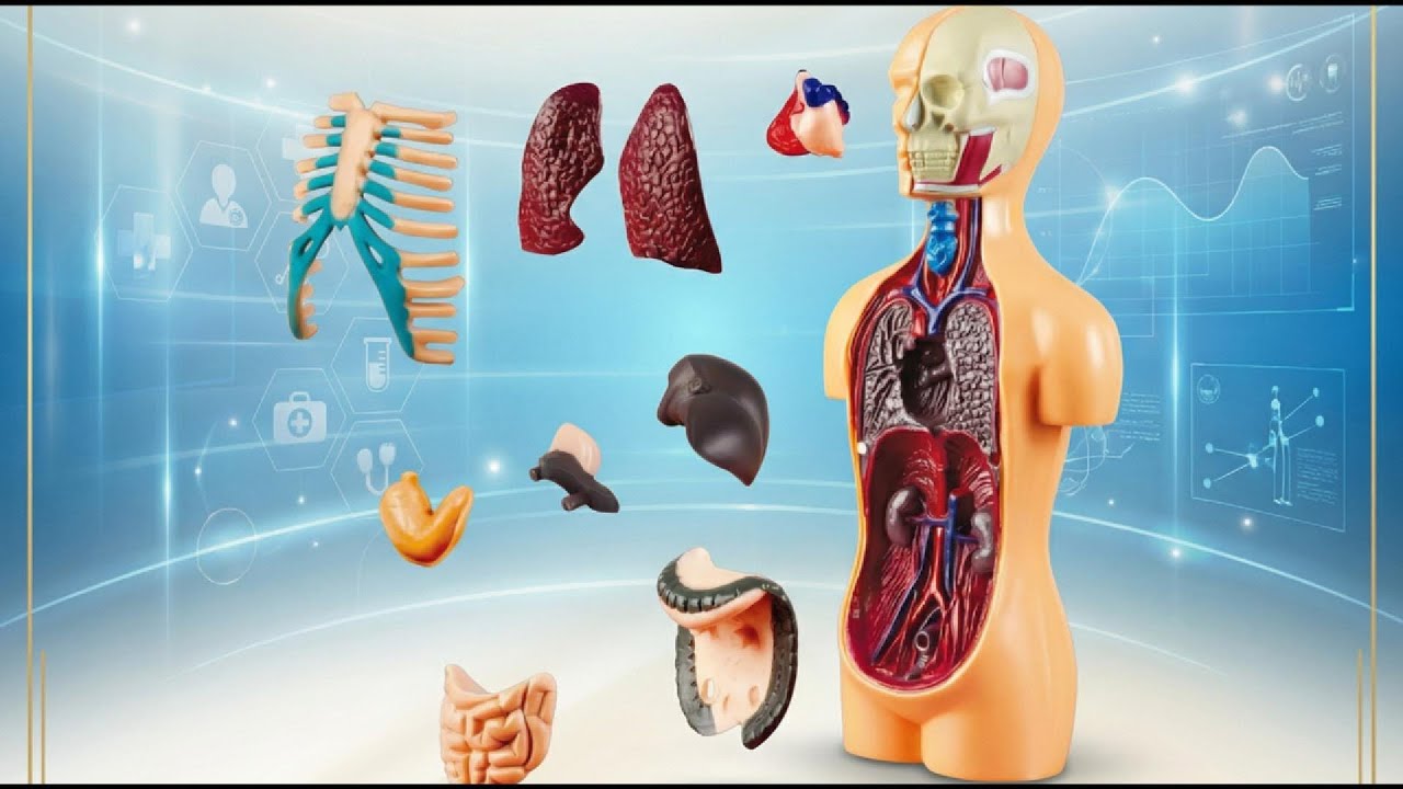  العاب العلوم والمعرفة 