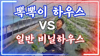 오이재배 시설현장에서 답을 찾았습니다  에어볼테크 농업용뽁뽁이 정품확인은 필수입니다