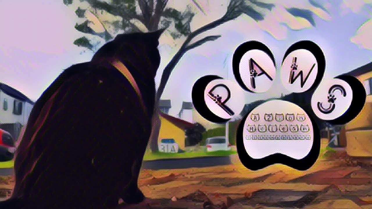 Paws | A Zion McLean Documentary