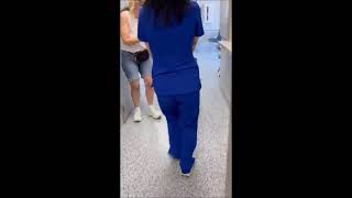 Video preview image #1 Mutt Puppy For Sale in Shelburne, VT, USA