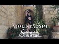 Shahrzad Belly Dance Violin Taqsim Shahrzad Bellydance Shahrzad Studios