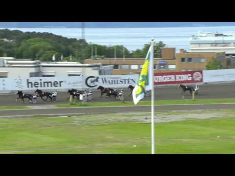 M.H. Fantomet Folkehesten2016