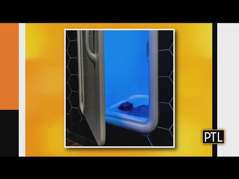 Float Therapy Pittsburgh