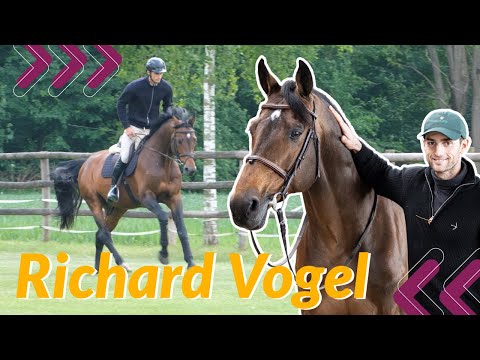 Traumhaft: So lebt Starpferd United Touch S! 😍 Große Gefühle in Aachen 😢 Im Stall mit Richard Vogel