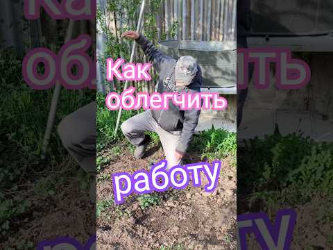 подколенники для грядок. #огород #грядки #рассада #aleksдежурныйпокухне