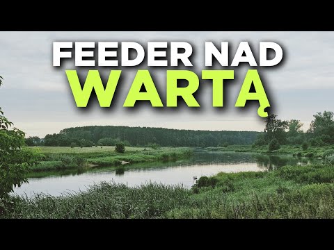 597 FEEDER ON THE WARTA - CLASSIC FEEDER IN A BRAID