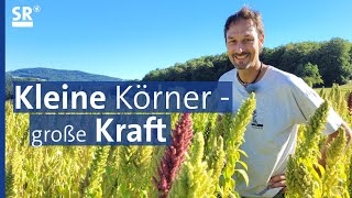 Amaranth – das Korn der Inkas wächst auch in unseren Breiten | Genuss mit Zukunft