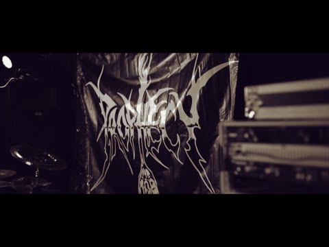 Nowe video Prophecy 