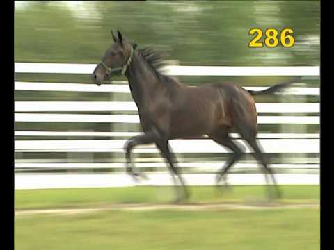 286 - Read Between Lines