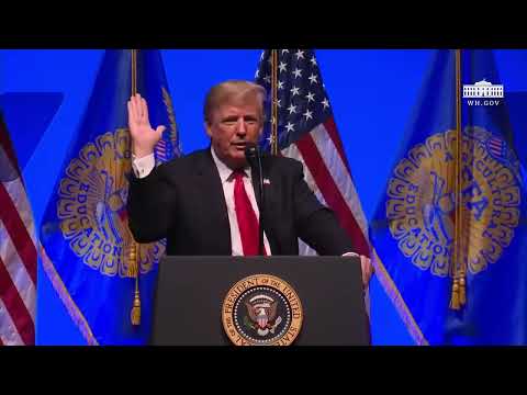 more trump insane quotes out of context