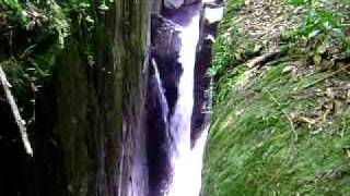 preview picture of video 'An amazing Water Fall in Sinharaja...'