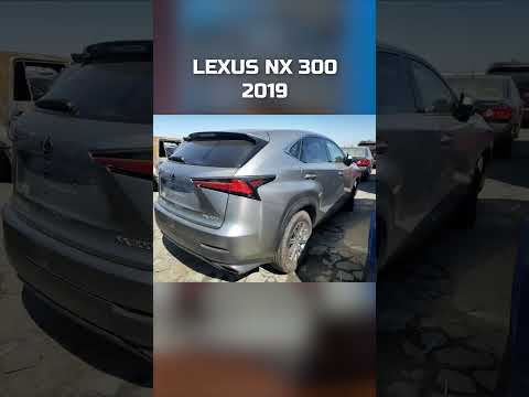 LEXUS NX 300 2019