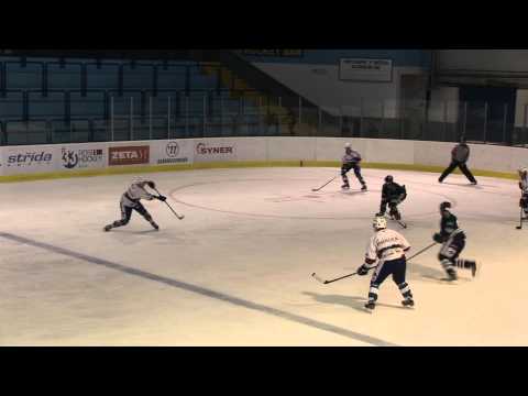 HC Benátky nad Jizerou - HC Berounští Medvědi / 0:1