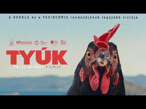 Tyúk (16) - Pálfi György legújabb filmje - magyar feliratos előzetes I Mozinet