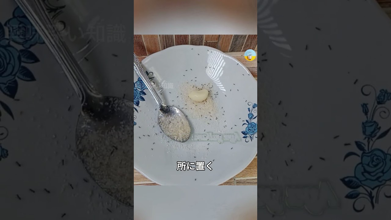 なぜアリはニンニクの匂いをこれほど恐れるのか？|興味深い知識