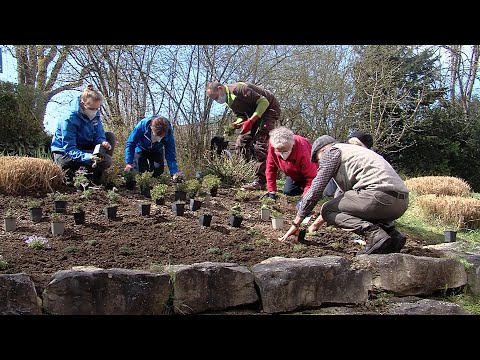 "Blühende Gärten" - Umgestaltung des Gartens des Luise-Wetzel-Stifts in Tübingen