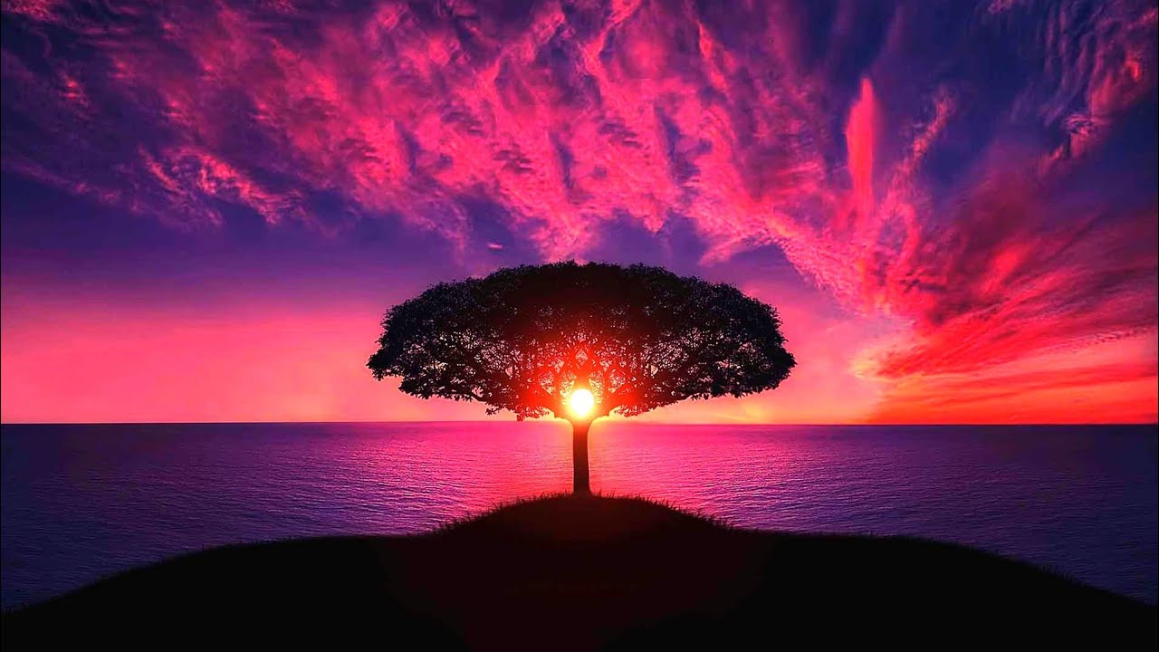 ❤ most beautiful sunsets in 8k