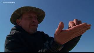 Tourist in Your Own Town: Boat tour of Chincoteague Island