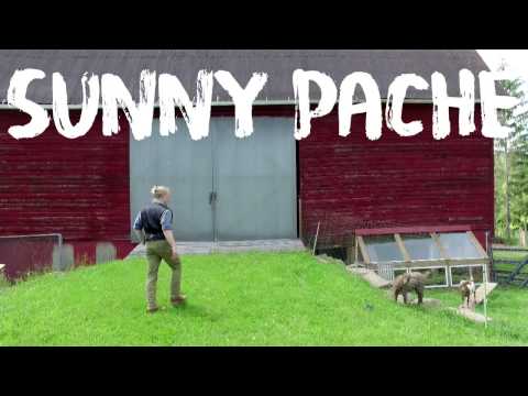 Sunny Pache - A Song Called Garrett County