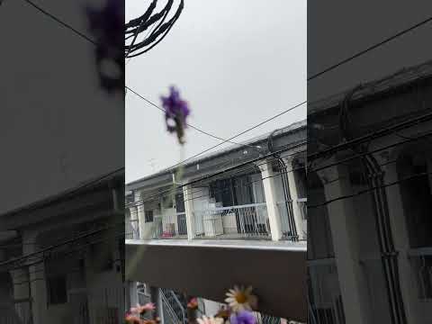 It’s raining ☔️ #rain #dailylife