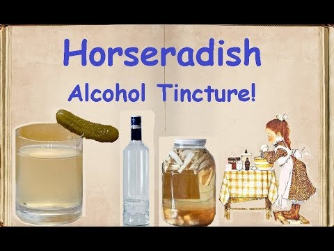 Horseradish Alcohol Tincture! / Book of recipes / Bon Appetit