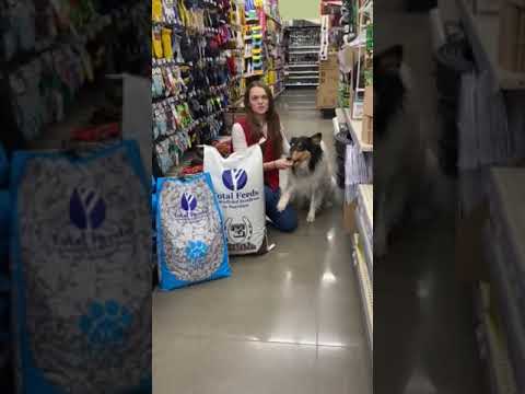 Total Feeds at Valley Ace Hardware