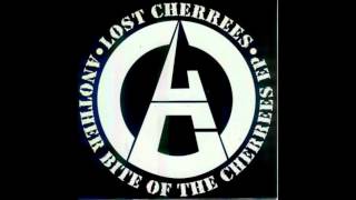Lost Cherrees_You Didn't Care