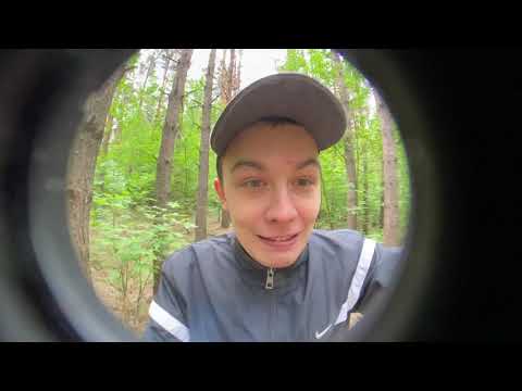DIMAVIPER ПРИЕХАЛ ПОГУЛЯТЬ В ЛЕС!