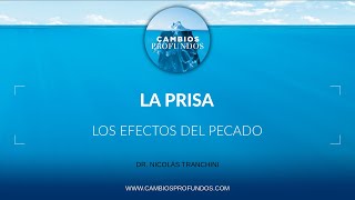 Download lagu The rush mp3