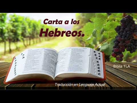 Más que miel Ministerios