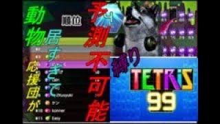 ＃2【テトリス99】ブロック先読み禁止で１位目指す