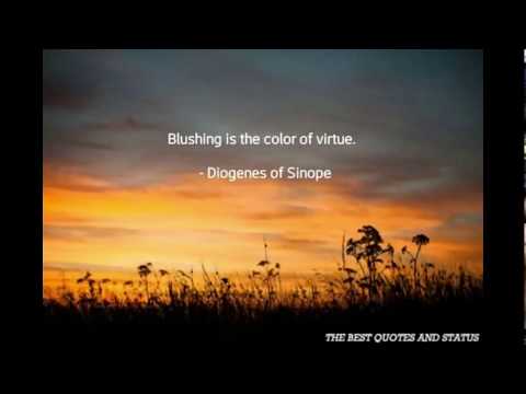 Meaningful Quotes & Status Video