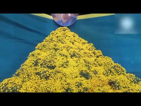 puneeth Rajkumar's lalbagh habba flower show celebrity meet with rupika  #celebrity #puneeth#rupika