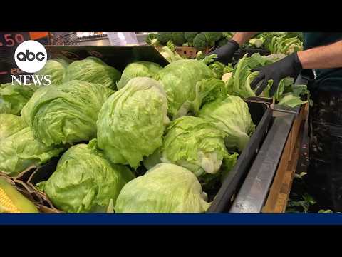 People can resume regular lettuce-eating habits, Michigan health officials say