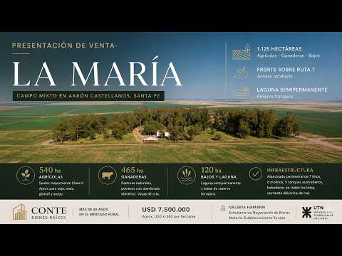 La María – Campo Mixto de 1.125 ha sobre Ruta Nacional 7 | Santa Fe