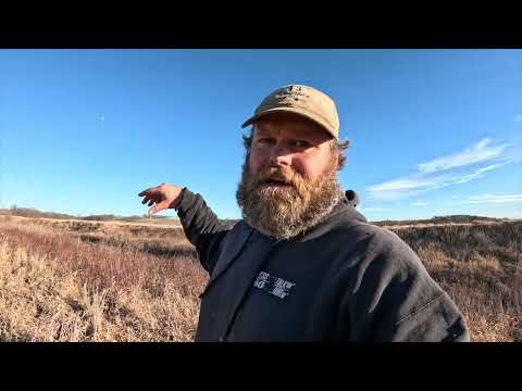 Beaver Trapping For Flood Districts - 26 Eps 11 - Getting Beavers Trapped - Good Tip In This Video
