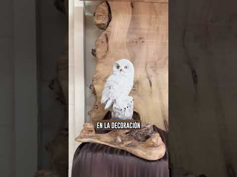 Somos el gramil carpinteria artesanal y el ojo bizarro, Puerto Rico Misiones