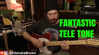 Video thumbnail for Telecaster Demo! Seymour Duncan 59 Neck Pickup & Jerry Donahue Lead Tele Bridge Demo and Comparison by Birdsnake Brown