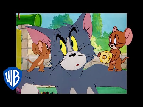 Tom & Jerry | How to Cat-ch a Mouse 
