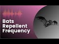 Bats Repellent Sound