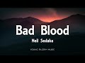 Neil Sedaka - Bad Blood (Lyrics)