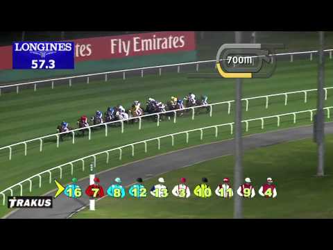 18.01.2014 Meydan (Dubai-UAE) 5.Race Gulf News - Handicap 1.600 m