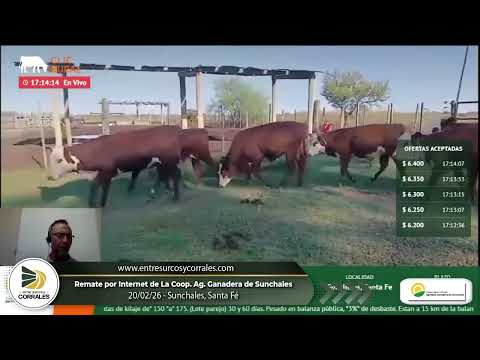 20-02-26 - Remate de la Coop. Agrícola Ganadera de Sunchales, Santa Fé