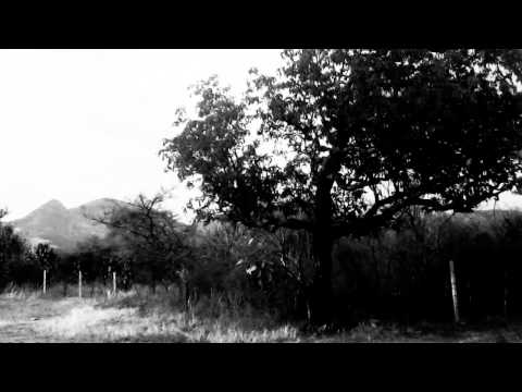 Plagia - Querofobia (demo song)