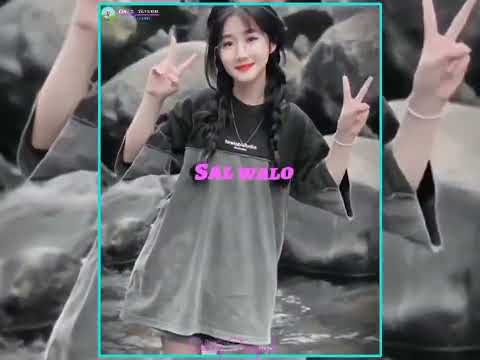 Antu rechil marak Arara 2