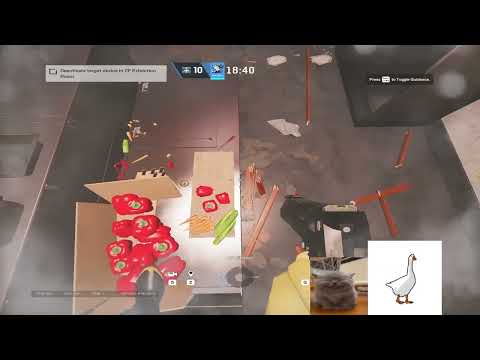 1F Kitchen - On Top Of Fridge