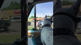 Cha Cha in her sunglasses