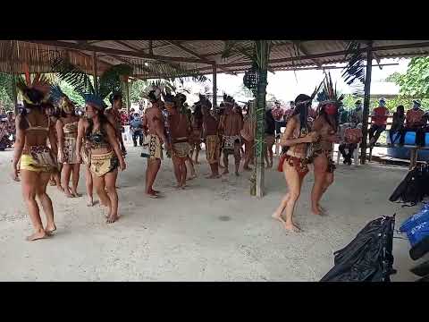 Dança Cultural Betânia Associação dos Jovens Rede Comunicadores Indígenas Tikuna de Vila Betânia