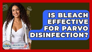 Is Bleach Effective For Parvo Disinfection - Ask A Pet Vet