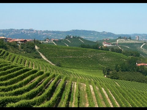 Langhe-Roero in Piemonte: Italy's best kept secret